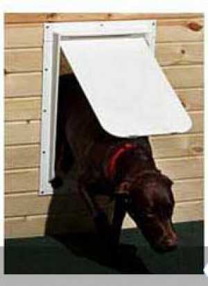 Dog Door Naples